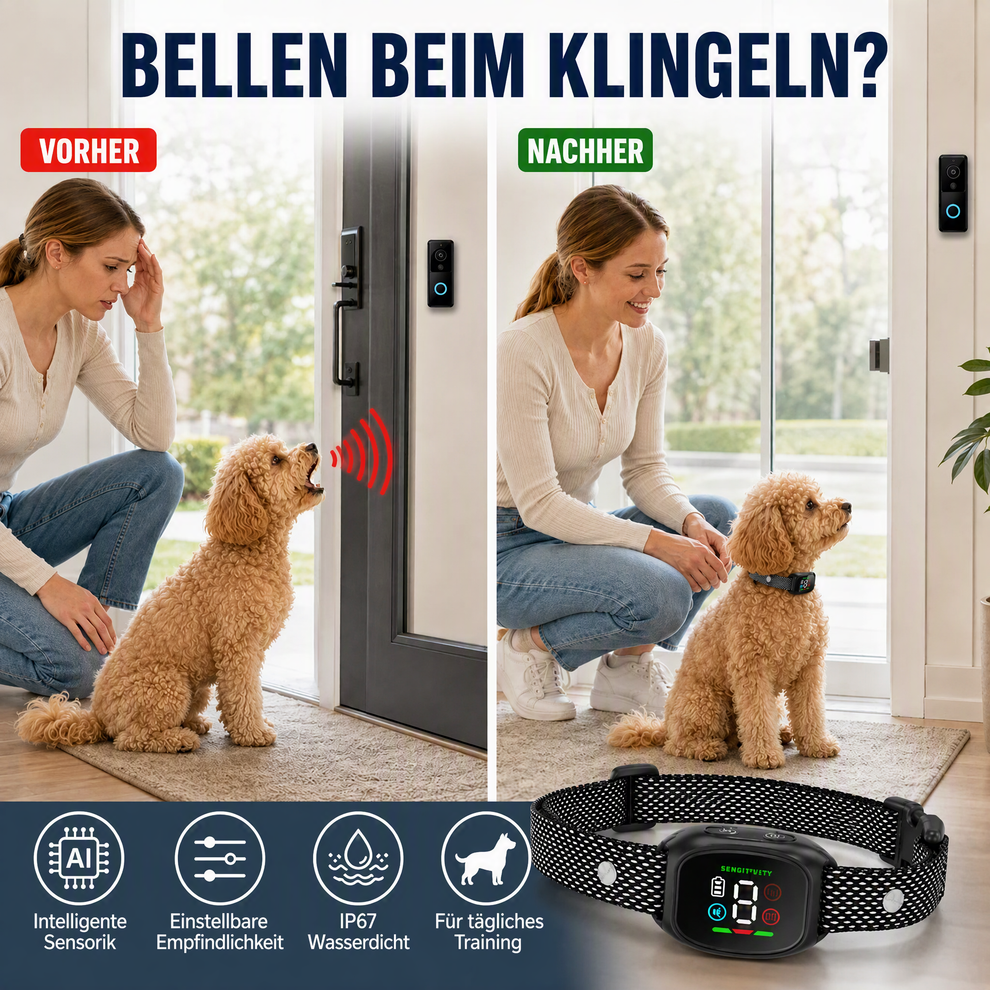 🐕 Anti-Bell-Halsband für Hunde – Vibration & Piepton, ohne Strom – 4 Trainingsmodi & IP67 wasserdicht