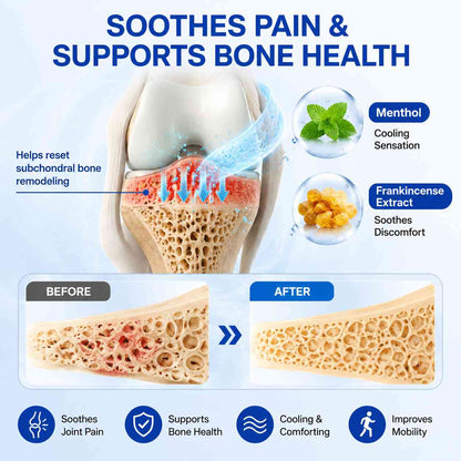 🍁Alcuras® PTH1R Arthritis Joint Cream